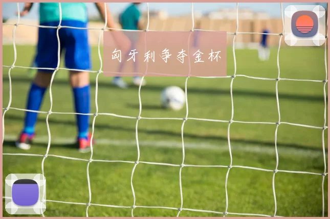 xingkongsports - 匈牙利争夺金杯