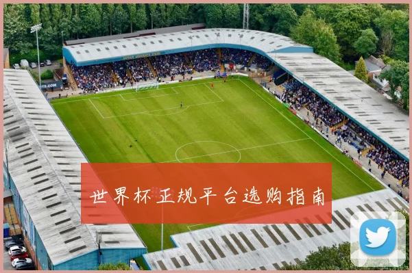 xingkongsports - 世界杯正规平台选购指南