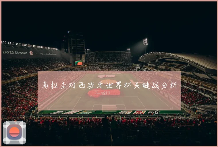 乌拉圭对西班牙世界杯关键战分析