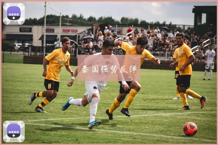xingkongsports - 泰国强势反弹