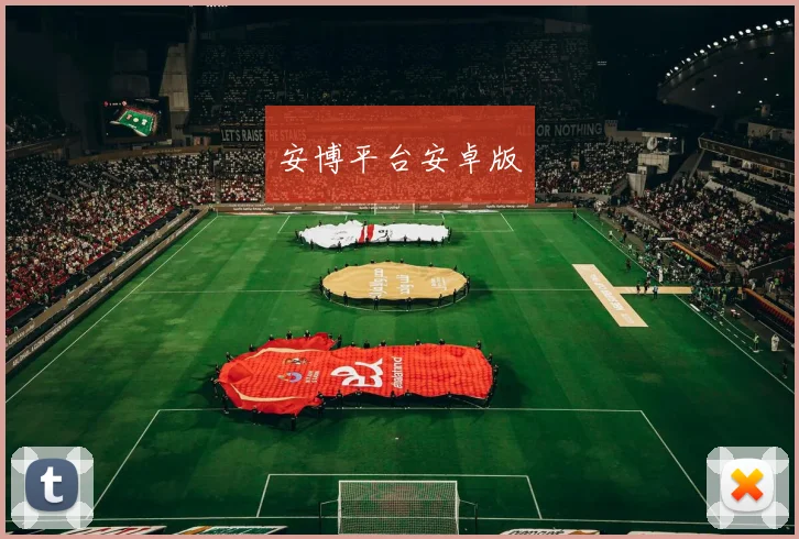 xingkongsports - 安博平台安卓版
