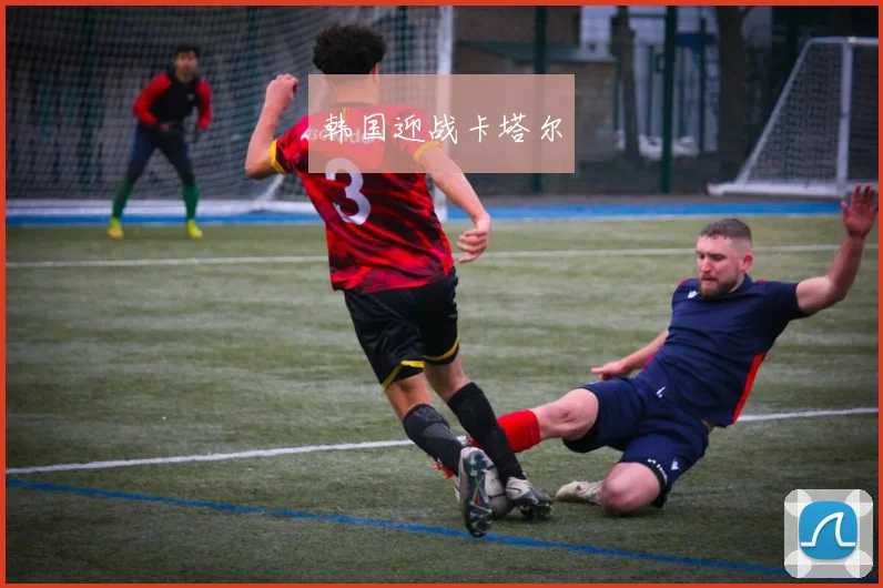 xingkongsports - 韩国迎战卡塔尔