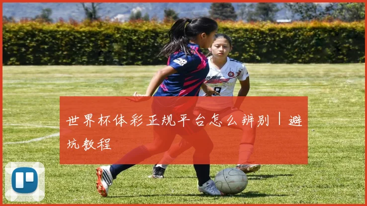 xingkongsports - 世界杯体彩正规平台怎么辨别｜避坑教程