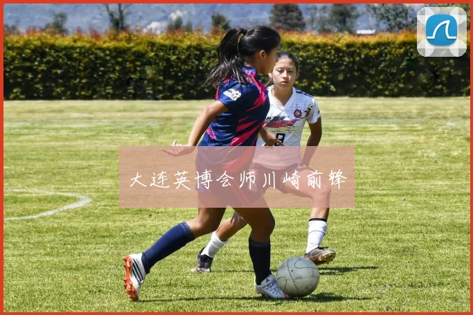 xingkongsports - 大连英博会师川崎前锋