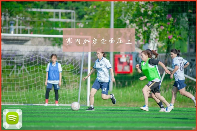 xingkongsports - 塞内加尔全面压上