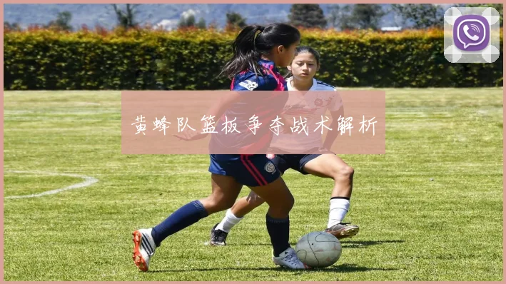 xingkongsports - 黄蜂队篮板争夺战术解析
