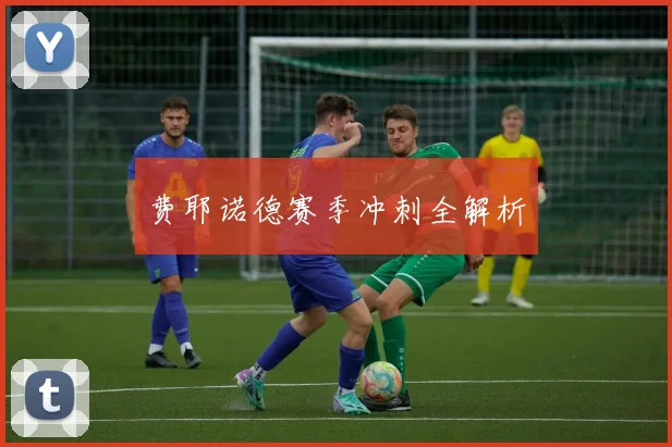 xingkongsports - 费耶诺德赛季冲刺全解析