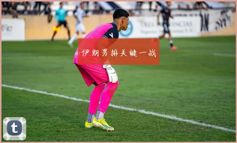 xingkongsports - 伊朗男排关键一战