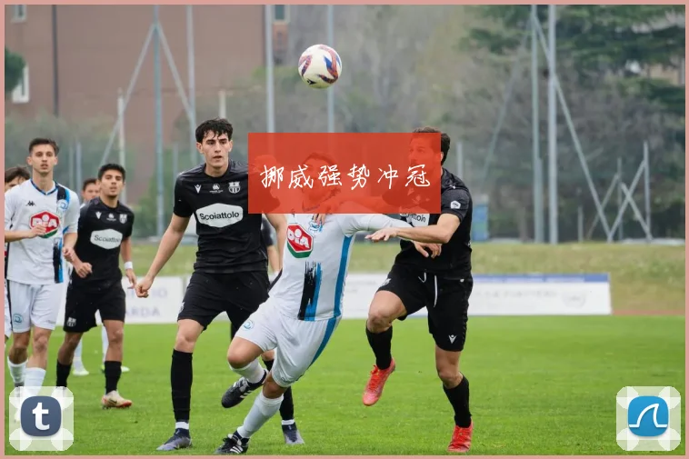 xingkongsports - 挪威强势冲冠