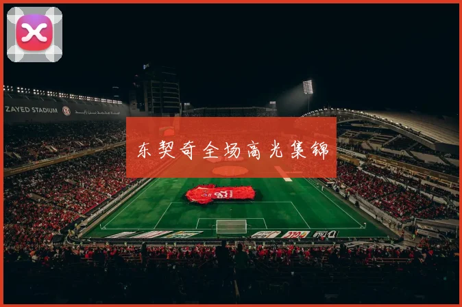 xingkongsports - 东契奇全场高光集锦