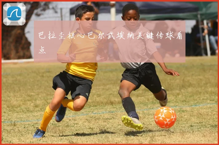 巴拉圭核心巴尔武埃纳关键传球看点