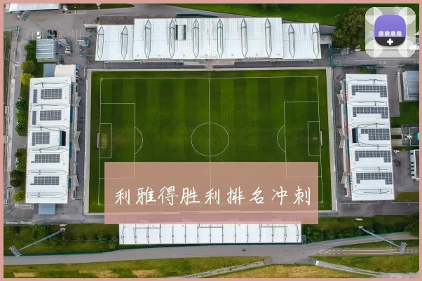 xingkongsports - 利雅得胜利排名冲刺