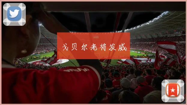 xingkongsports - 戈贝尔老将发威