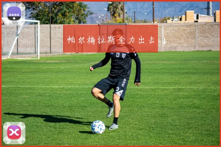 xingkongsports - 帕尔梅拉斯全力出击
