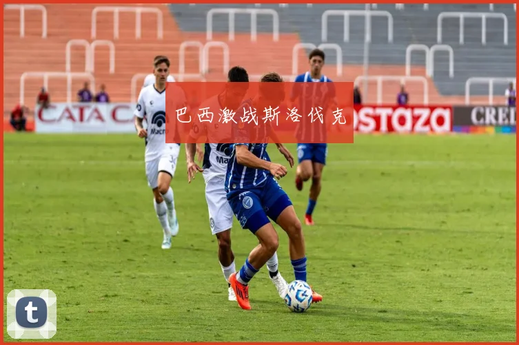 xingkongsports - 巴西激战斯洛伐克