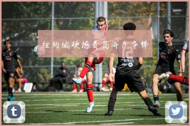 xingkongsports - 纽约城硬撼青岛海牛争锋