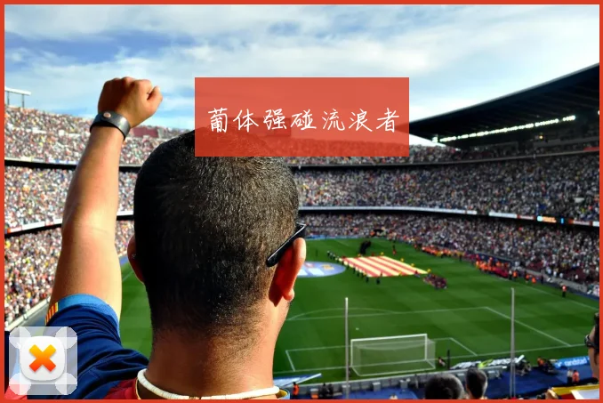 xingkongsports - 葡体强碰流浪者