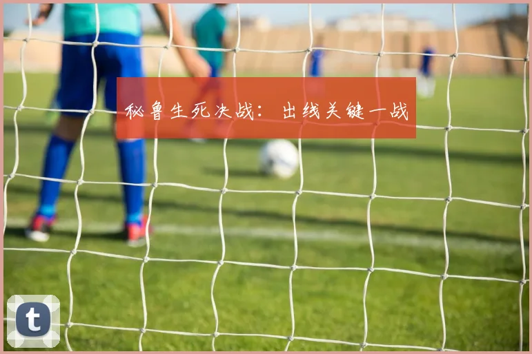 xingkongsports - 秘鲁生死决战：出线关键一战