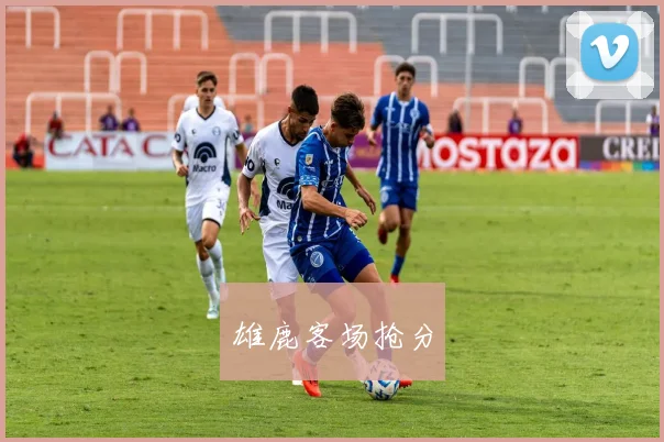 xingkongsports - 雄鹿客场抢分