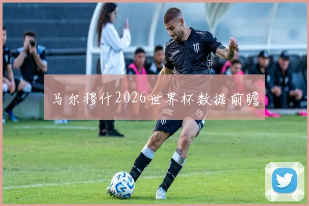 马尔穆什2026世界杯数据前瞻