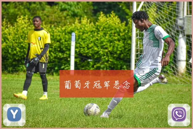 xingkongsports - 葡萄牙冠军悬念