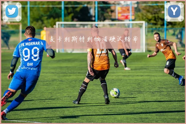 xingkongsports - 麦卡利斯特利物浦硬汉赔率