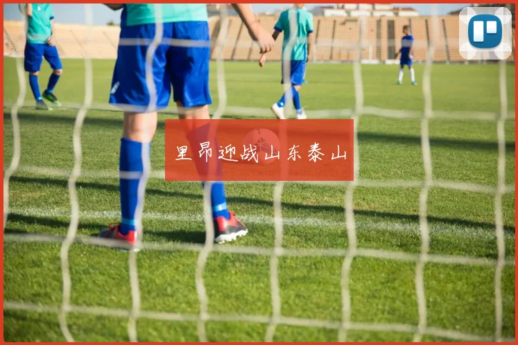 xingkongsports - 里昂迎战山东泰山