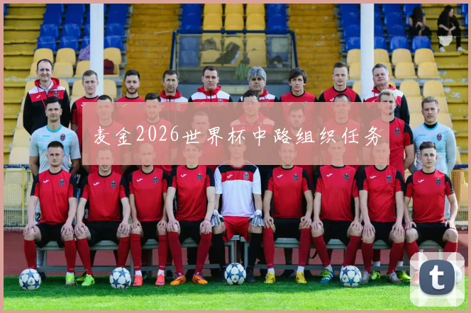 麦金2026世界杯中路组织任务