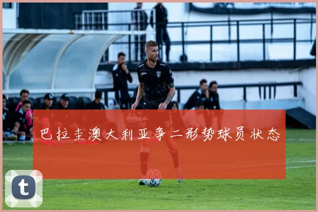 巴拉圭澳大利亚争二形势球员状态