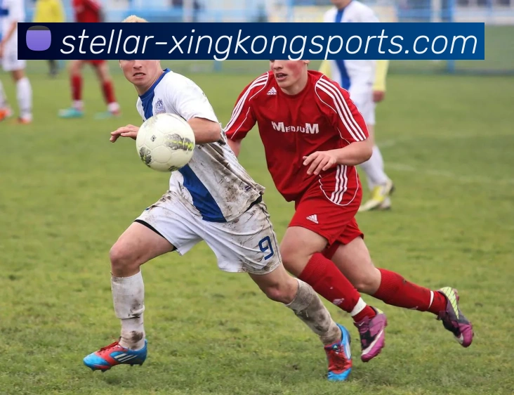 xingkongsports多端服务