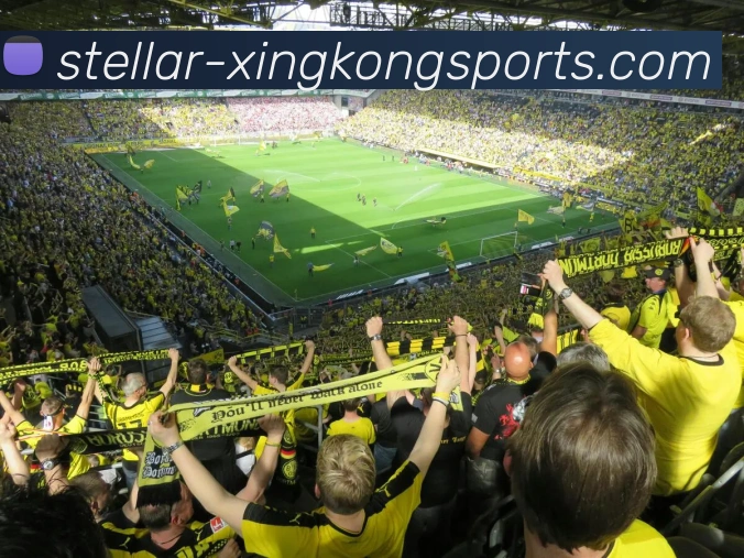 xingkongsports数据分析