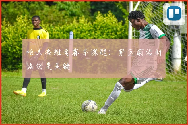 帕夫洛维奇赛季课题:禁区前沿封堵仍是关键