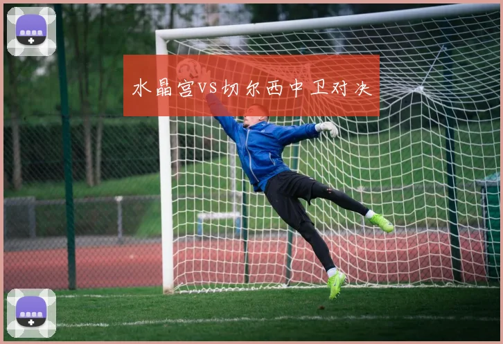水晶宫vs切尔西中卫对决