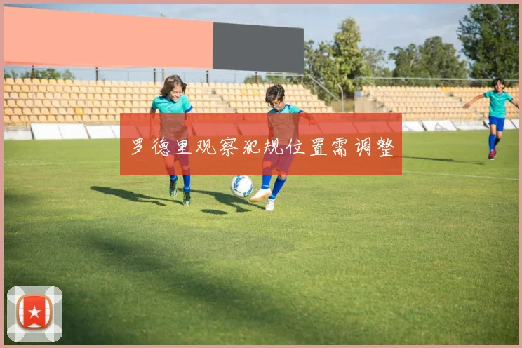 罗德里观察犯规位置需调整