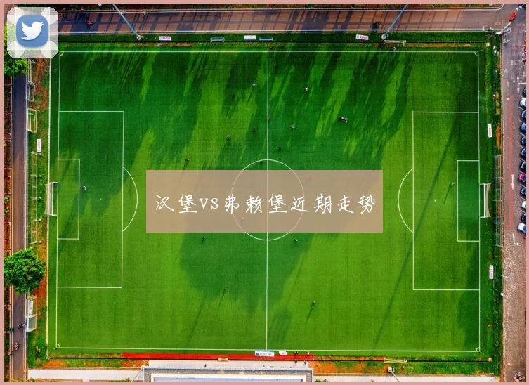 汉堡vs弗赖堡近期走势